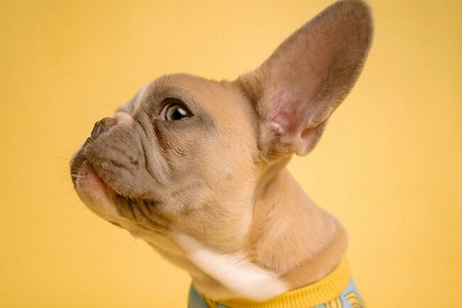 Se libérer du regard des autres : écouter sa voix intérieure